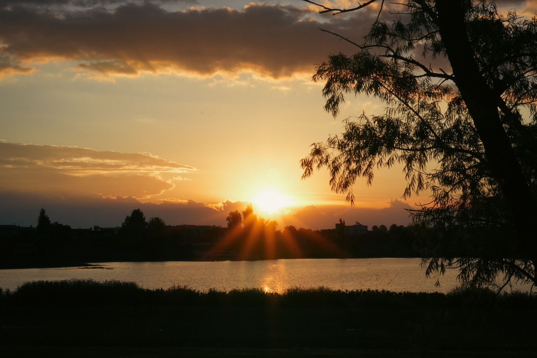 Lakeside sunset framed by a willow tree with the far shoreline in silhouette